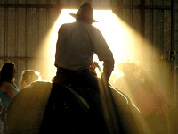 Cowboy on his mule