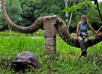 Elaine in tree and tortoise