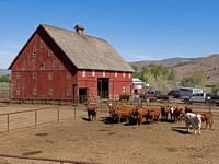 Big red barn and stock