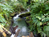 Punta Banco waterfall