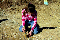 Girl Digs Fossils