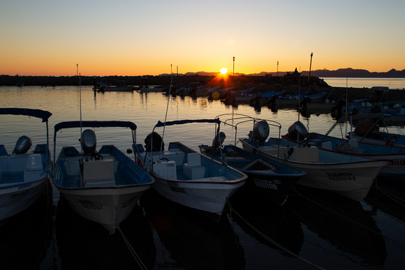 Loreto fleet at dawn